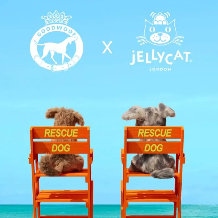 Meet Jellycat Fluff & Scruffles! Exclusive rescue dogs coming to Goodwoof 2026